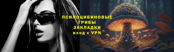 хмурый Армянск
