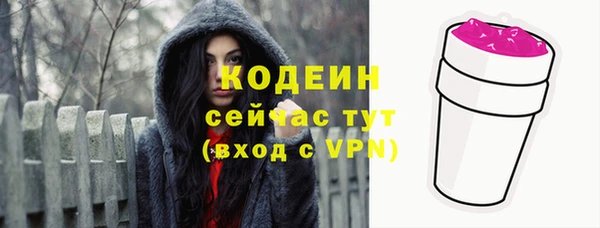 гашик Аркадак