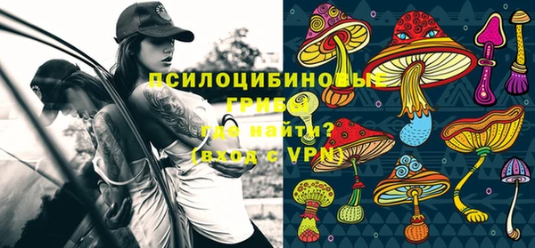 хмурый Армянск