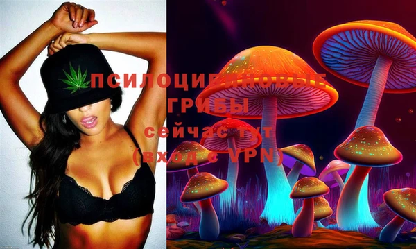 хмурый Армянск