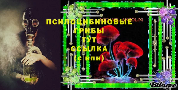 гашик Аркадак