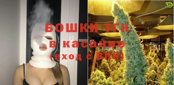 гашик Аркадак