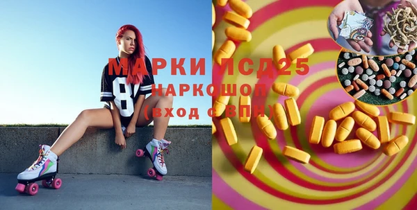 гашик Аркадак