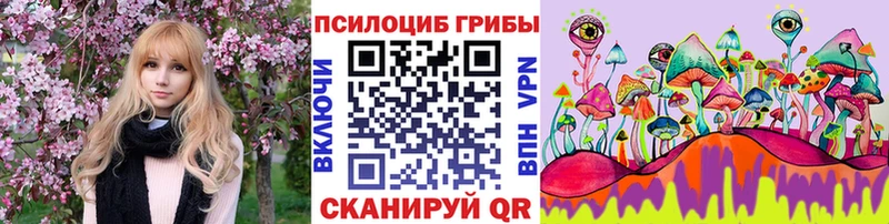 Псилоцибиновые грибы Psilocybine cubensis Стрежевой