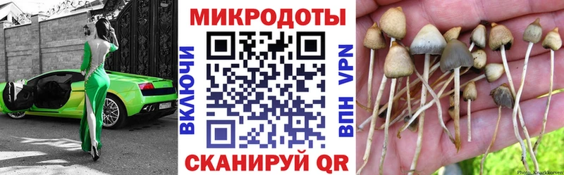 OMG ТОР  Стрежевой  Псилоцибиновые грибы ЛСД 